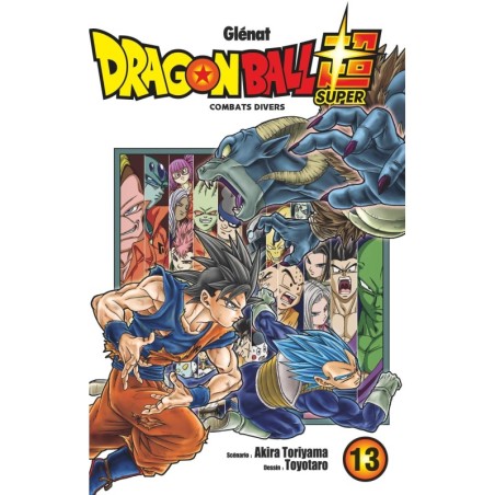 VOL.13 DRAGON BALL SUPER COMBATS DIVERS