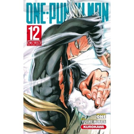 VOL. 12 ONE-PUNCH MAN