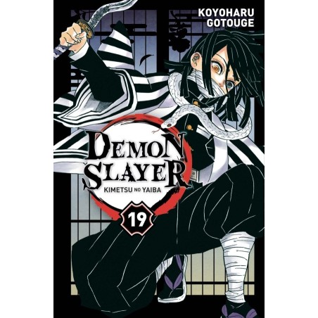 VOL. 19 DEMON SLAYER