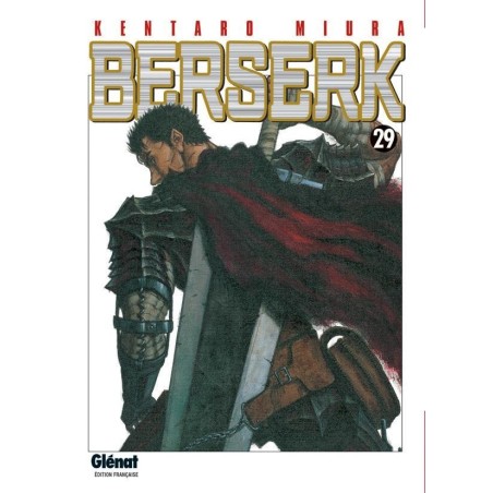 VOL. 29 BERSERK